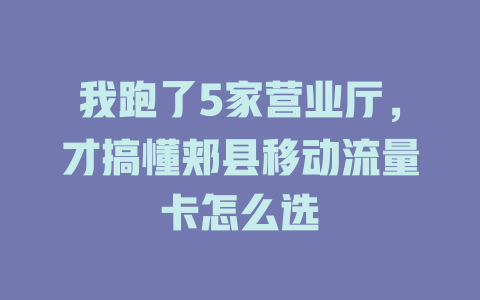 我跑了5家营业厅，才搞懂郏县移动流量卡怎么选