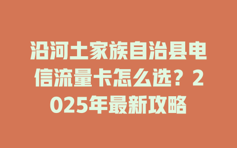 沿河土家族自治县电信流量卡怎么选？2025年最新攻略