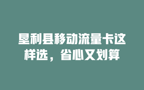 垦利县移动流量卡这样选，省心又划算