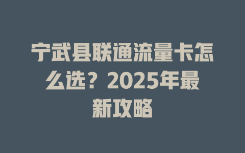宁武县联通流量卡怎么选？2025年最新攻略