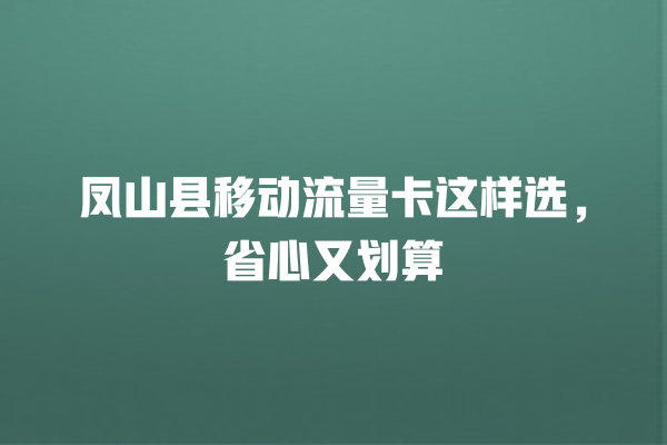 凤山县移动流量卡这样选，省心又划算