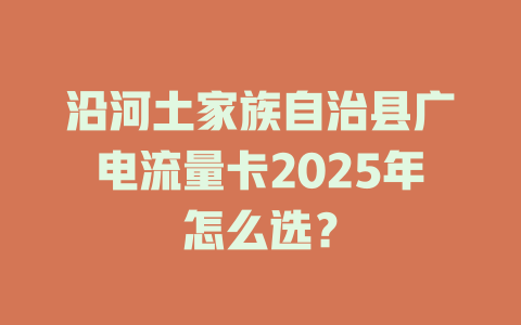 沿河土家族自治县广电流量卡2025年怎么选？