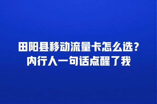 田阳县移动流量卡怎么选？内行人一句话点醒了我