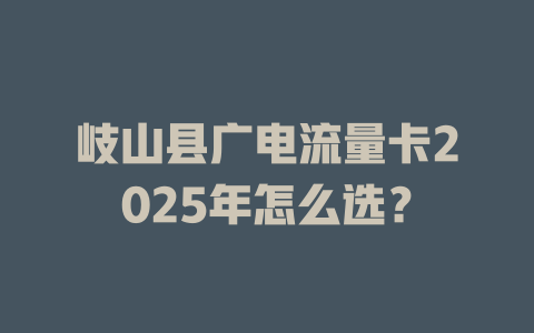 岐山县广电流量卡2025年怎么选？