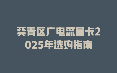 葵青区广电流量卡2025年选购指南