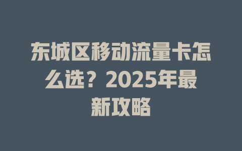 东城区移动流量卡怎么选？2025年最新攻略