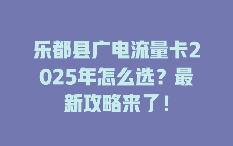 乐都县广电流量卡2025年怎么选？最新攻略来了！
