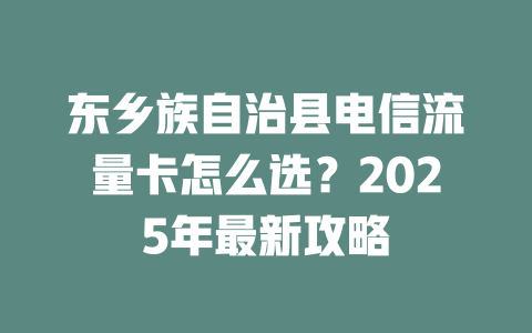 东乡族自治县电信流量卡怎么选？2025年最新攻略
