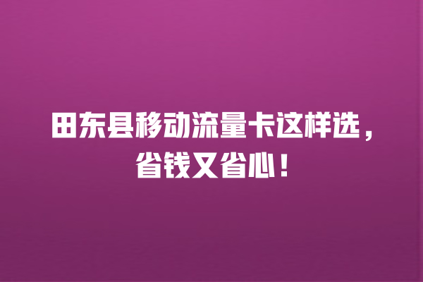 田东县移动流量卡这样选，省钱又省心！