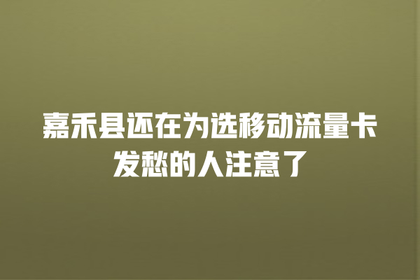 嘉禾县还在为选移动流量卡发愁的人注意了