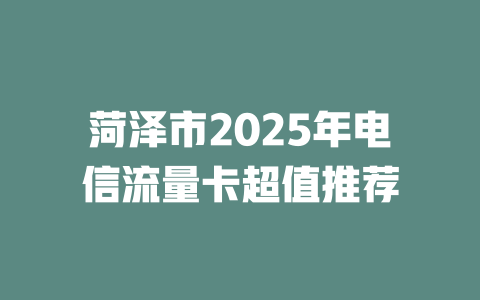 菏泽市2025年电信流量卡超值推荐