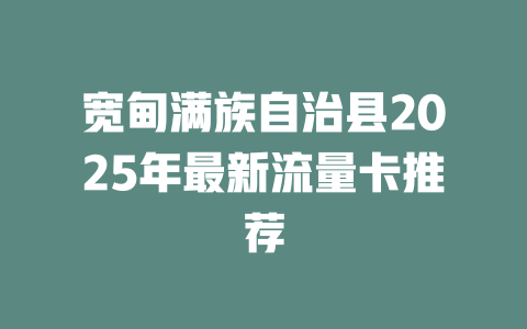 宽甸满族自治县2025年最新流量卡推荐