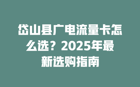 岱山县广电流量卡怎么选？2025年最新选购指南