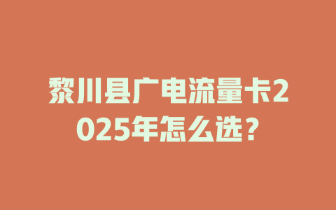 黎川县广电流量卡2025年怎么选？