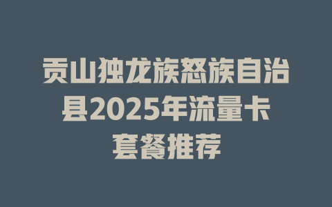 贡山独龙族怒族自治县2025年流量卡套餐推荐