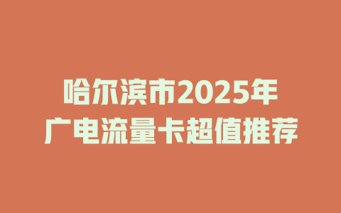 哈尔滨市2025年广电流量卡超值推荐