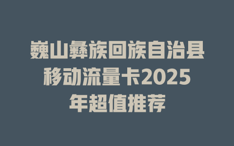 巍山彝族回族自治县移动流量卡2025年超值推荐