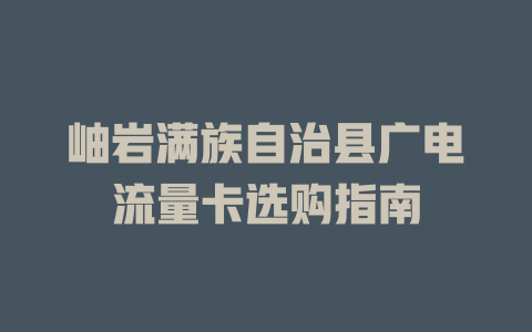 岫岩满族自治县广电流量卡选购指南