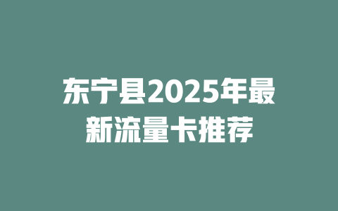 东宁县2025年最新流量卡推荐