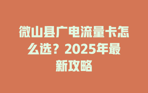 微山县广电流量卡怎么选？2025年最新攻略