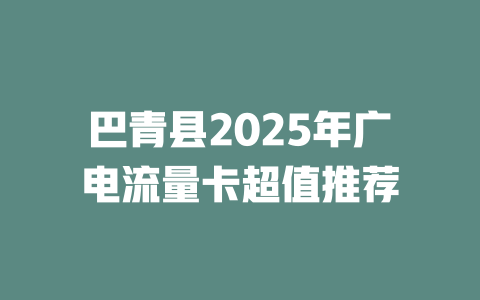 巴青县2025年广电流量卡超值推荐