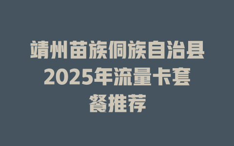 靖州苗族侗族自治县2025年流量卡套餐推荐
