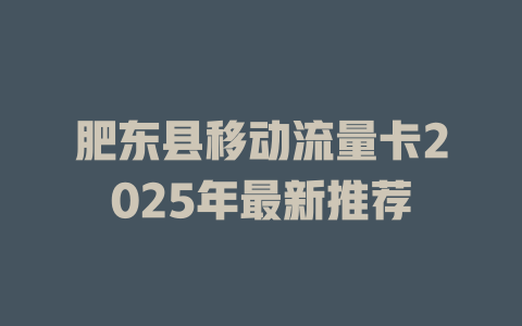 肥东县移动流量卡2025年最新推荐