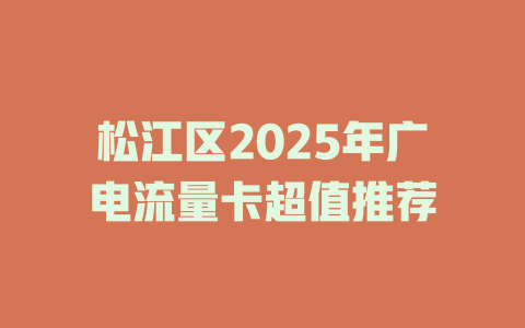 松江区2025年广电流量卡超值推荐