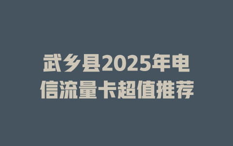 武乡县2025年电信流量卡超值推荐