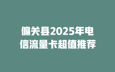 偏关县2025年电信流量卡超值推荐