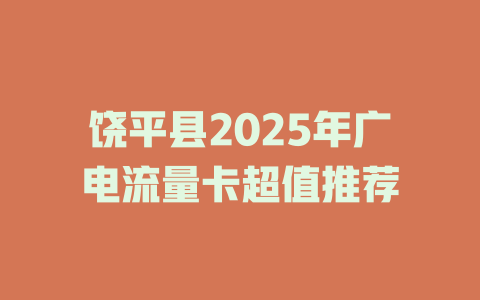 饶平县2025年广电流量卡超值推荐