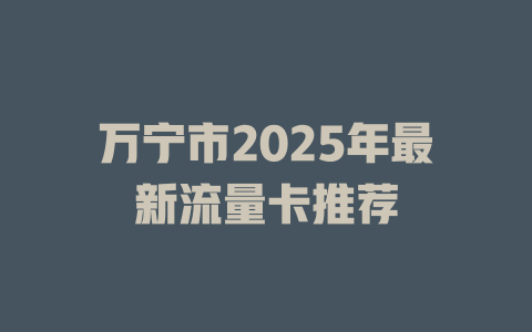 万宁市2025年最新流量卡推荐