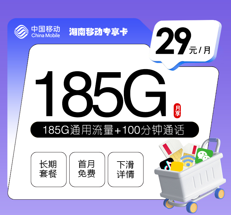 移动湖南专享卡29元月包5G通用流量+170G省内通用流量+10G定向流量+100分钟通话（长期套餐，仅发湖南省内）