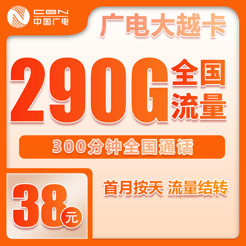 广电大越卡①38元月包260G通用流量+30G定向流量+300分钟通话（长期套餐）