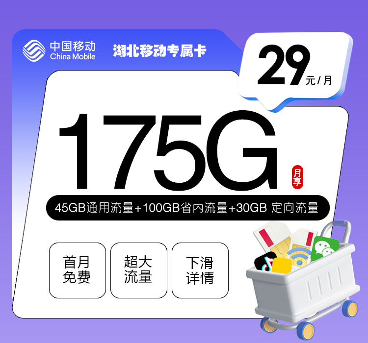 移动湖北专属卡29元月包45G通用流量+100G湖北通用流量+30G定向流量+通话0.1元/分钟（仅发湖北省内）