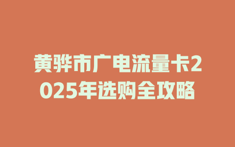 黄骅市广电流量卡2025年选购全攻略