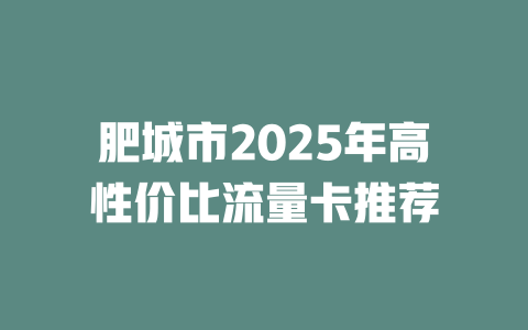 肥城市2025年高性价比流量卡推荐