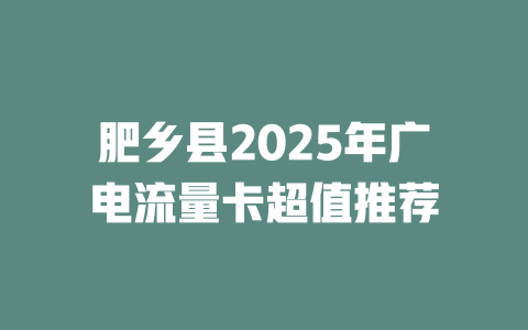 肥乡县2025年广电流量卡超值推荐