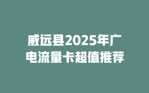 威远县2025年广电流量卡超值推荐