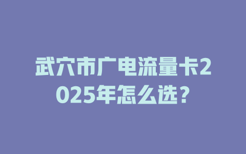 武穴市广电流量卡2025年怎么选？