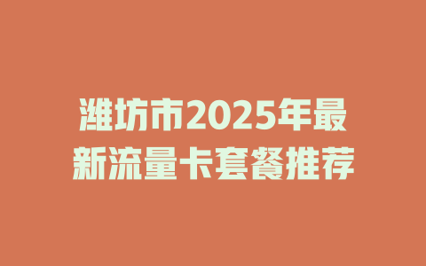 潍坊市2025年最新流量卡套餐推荐