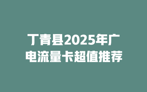 丁青县2025年广电流量卡超值推荐