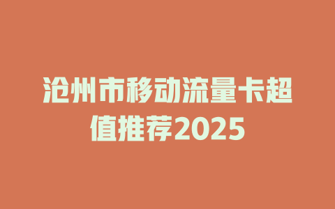 沧州市移动流量卡超值推荐2025