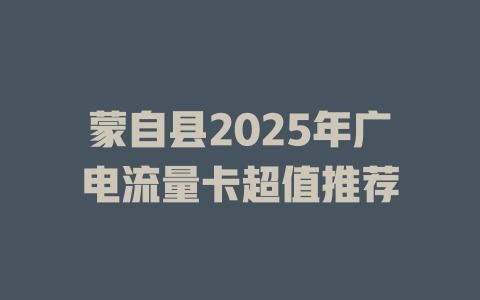 蒙自县2025年广电流量卡超值推荐