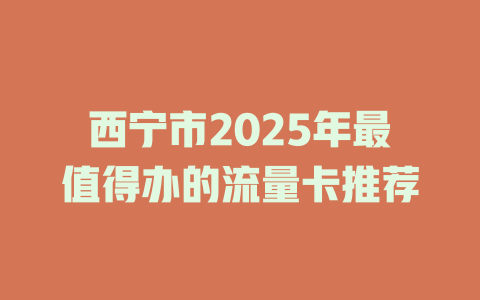 西宁市2025年最值得办的流量卡推荐