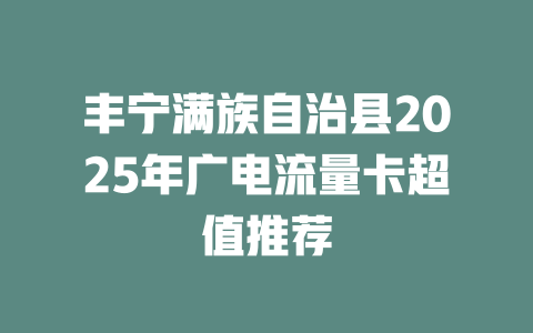 丰宁满族自治县2025年广电流量卡超值推荐