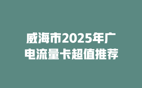 威海市2025年广电流量卡超值推荐