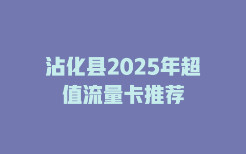 沾化县2025年超值流量卡推荐