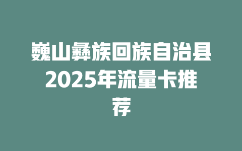 巍山彝族回族自治县2025年流量卡推荐