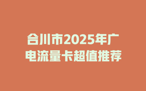 合川市2025年广电流量卡超值推荐